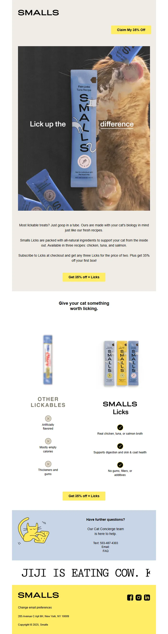Pet Care Product Email Template – Cat Treats Promo