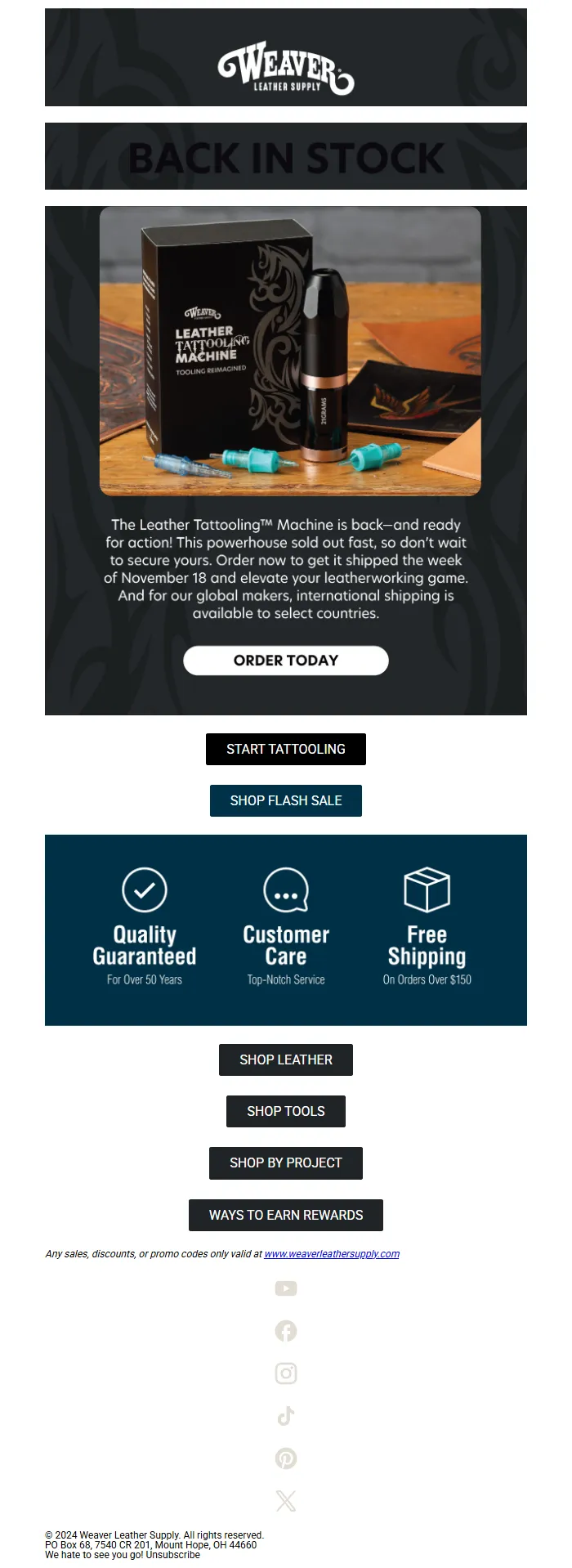 Back In Stock Email Template for Product Launches