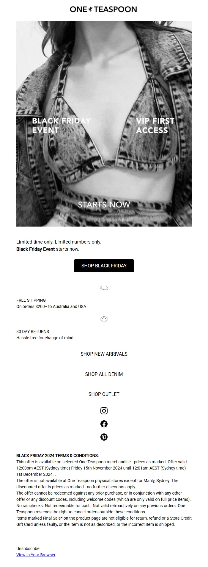 Black Friday Event VIP Access Email Template for Campaigns
