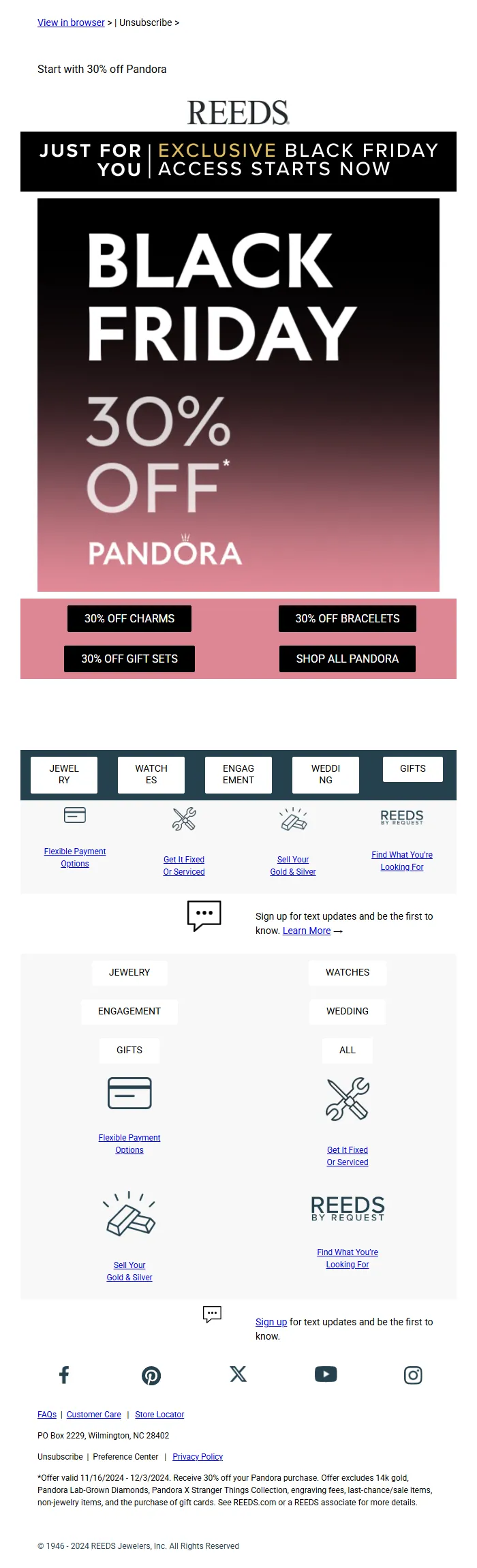 Black Friday VIP Email Template – Exclusive Sales & Pandora Deals