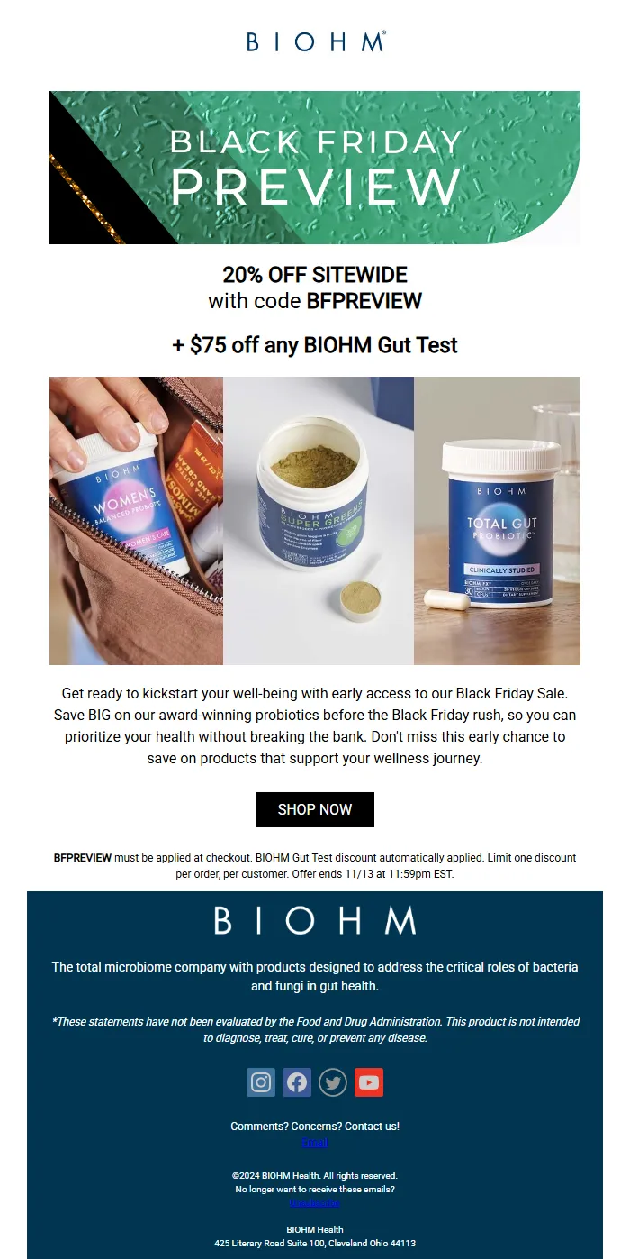 Black Friday Sale Sneak Peek Email Template