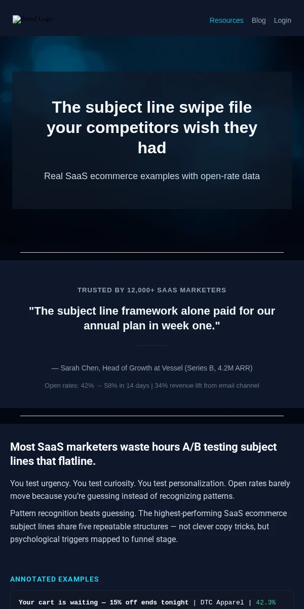 Newsletter Email Template for SaaS Software